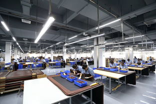 竣工投产顺利进行，建筑工程咨询释放新效能——延吉可喜安医疗器械新园区落成侧记